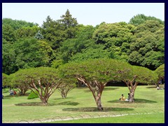 Shinjuku Gyoen 43